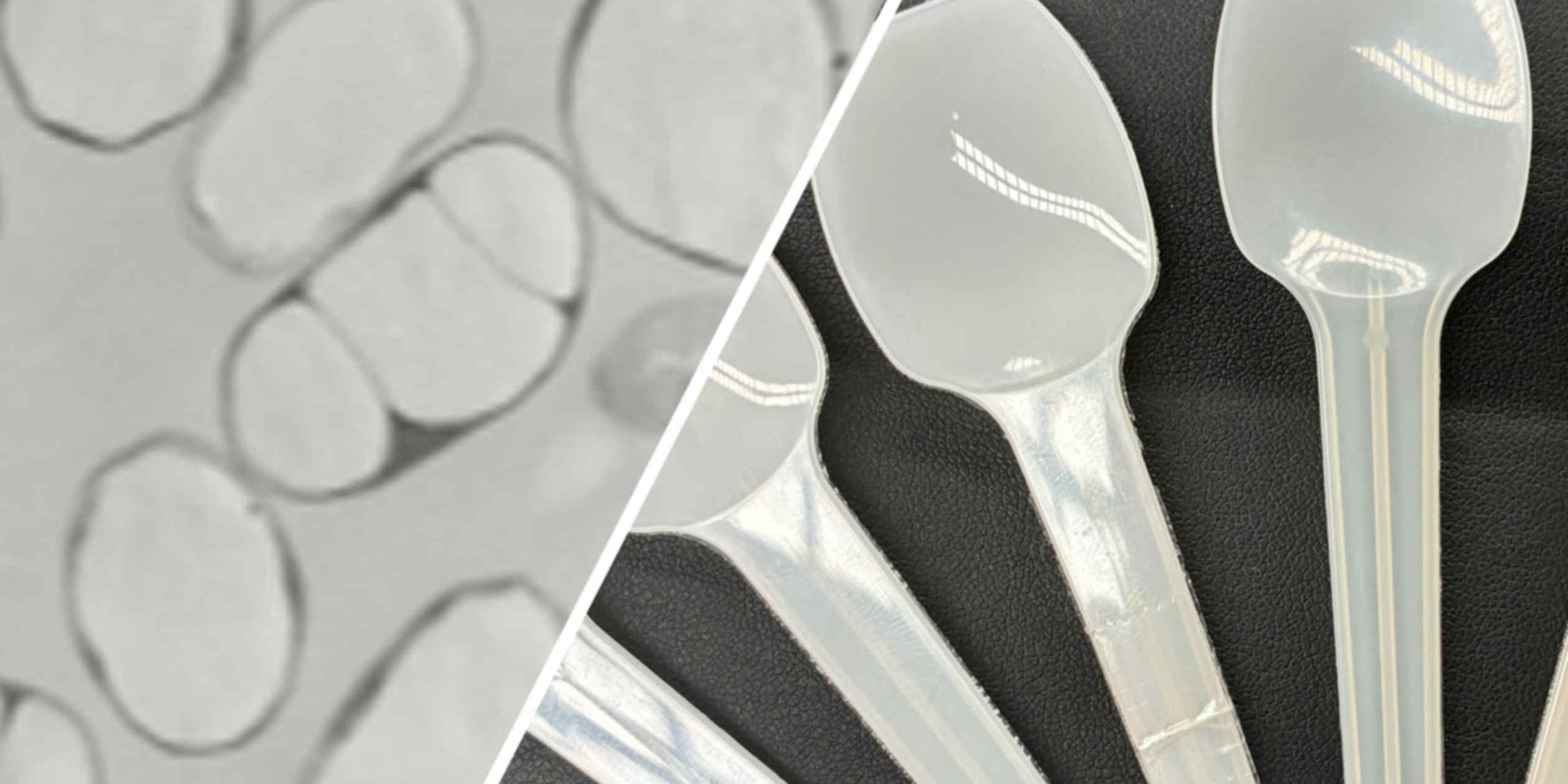 JGC Jepang Kembangkan Bakteri untuk Bioplastik Ramah Lingkungan